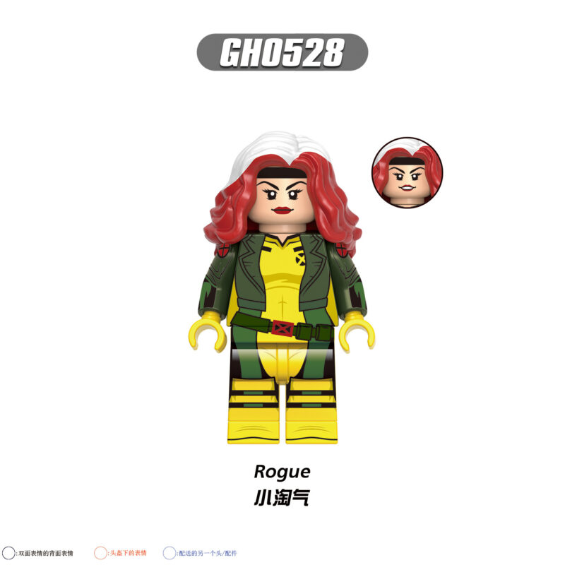 DC Rogue Minifiguren GH0528