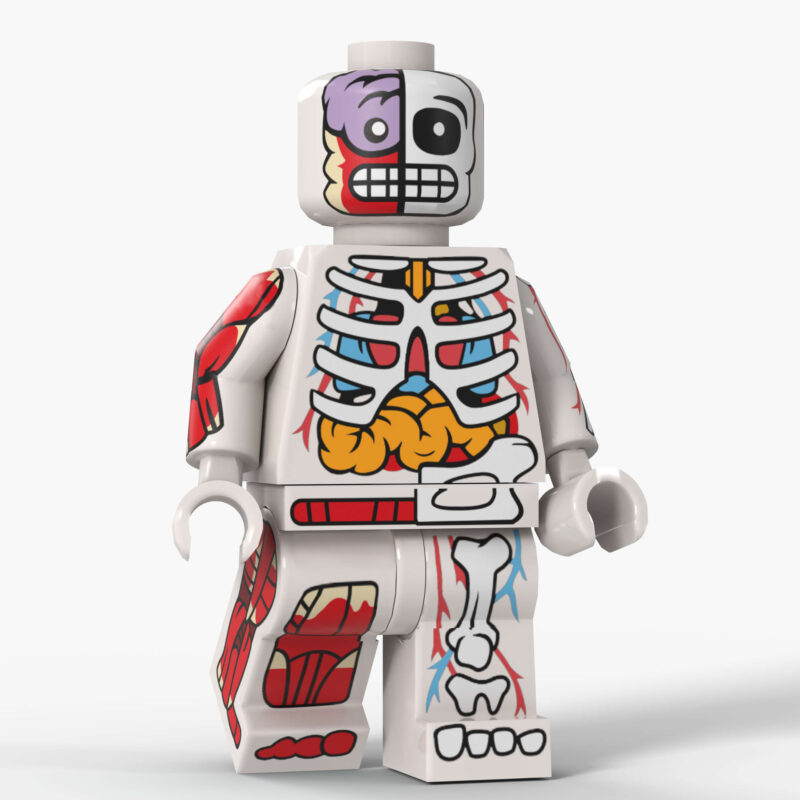 Der sichtbare Mann Minifiguren D8005B