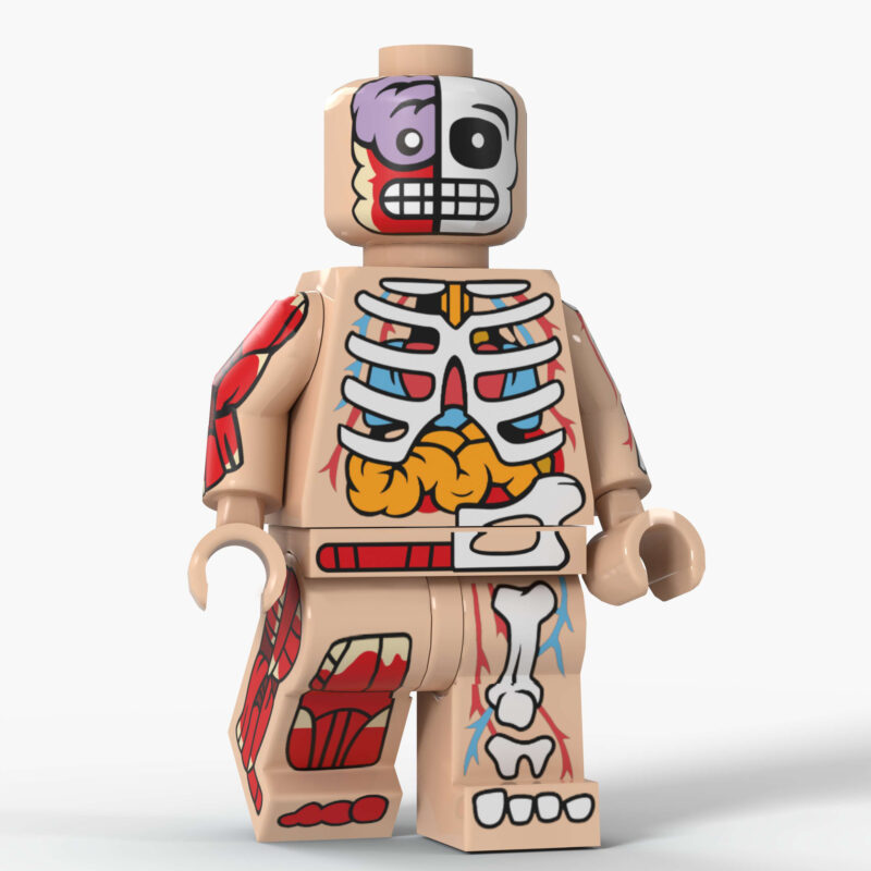 The Visible Man Minifiguren D8005C