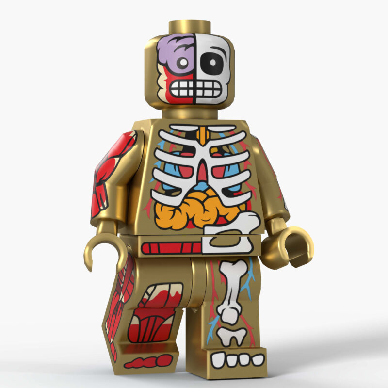 Der sichtbare Mann Minifiguren D8005D