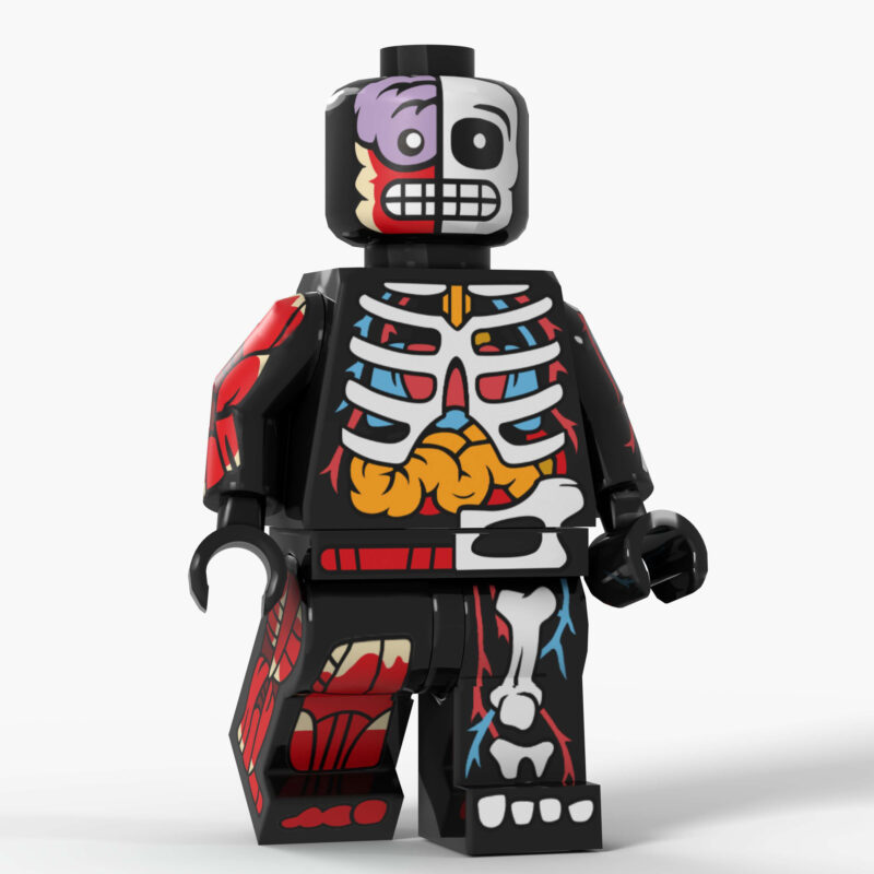 Der sichtbare Mann Minifiguren D8005F